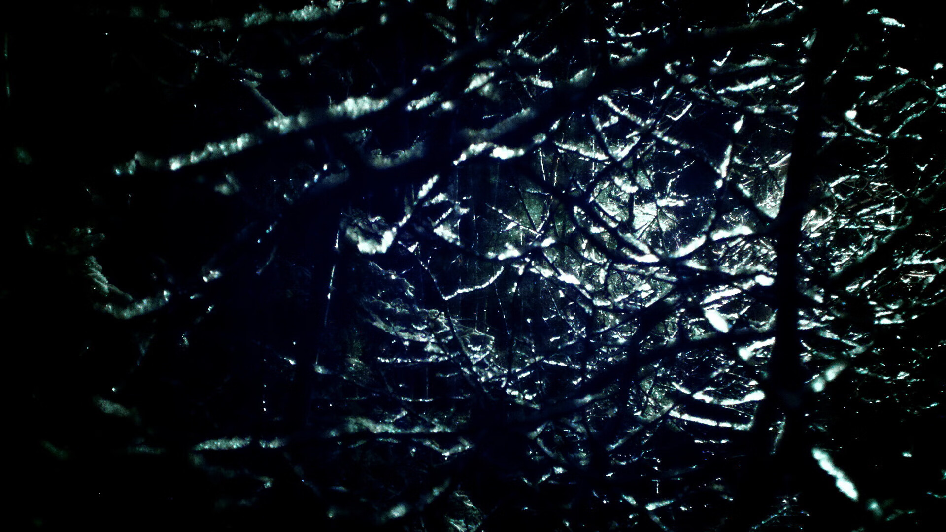 当塔图姆在纽约打出生涯之夜，篮网与尼克斯的百年恩怨被重新定义