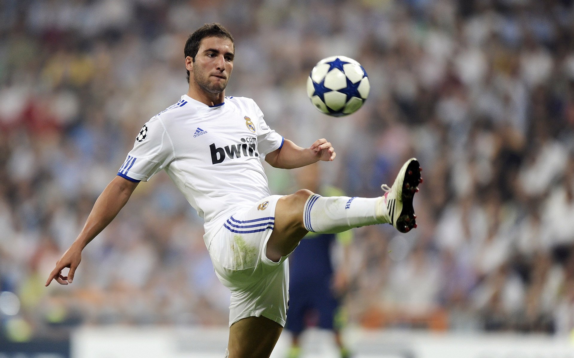 开云APP-从加维到地缘棋局，巴西如何通过关键先生重塑南美权力格局