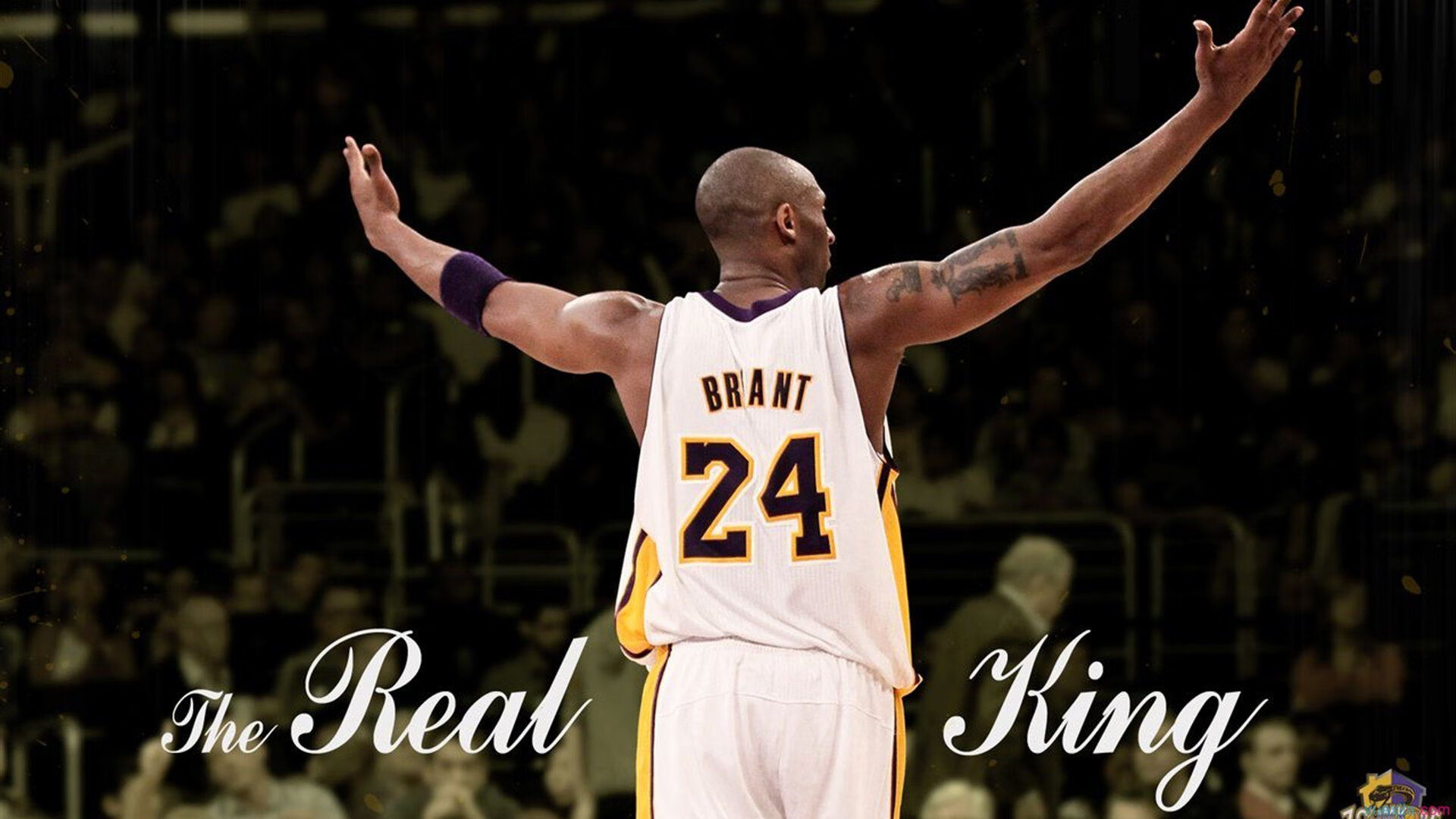 戈贝尔化身禁区巨兽,热火铁血防守彻底击溃老鹰进攻体系