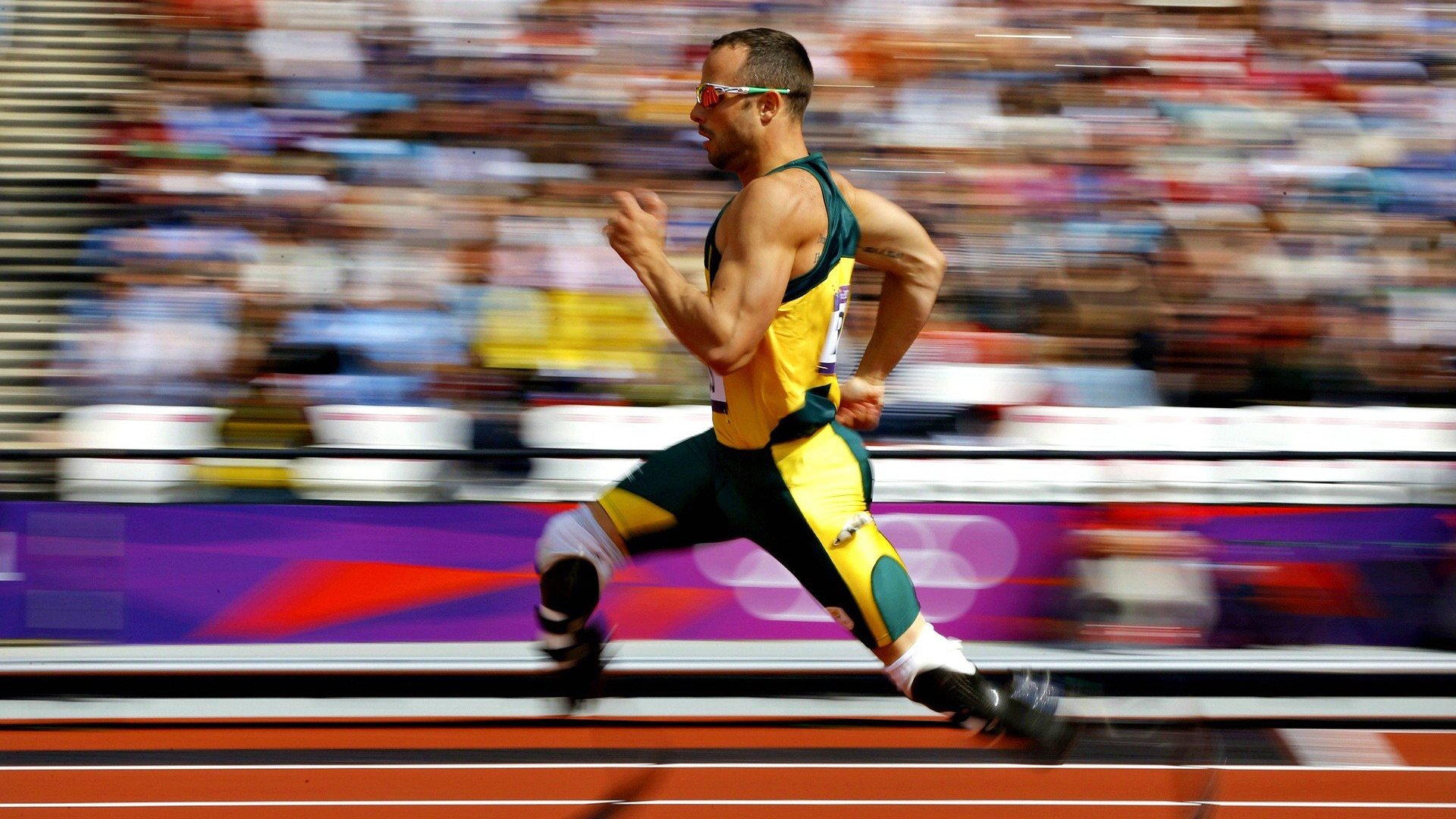 绝杀之夜，樊振东点燃赛场，那一刻，中国乒乓球的不朽荣光